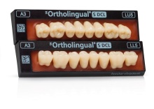 sr Ortholingual s dcl