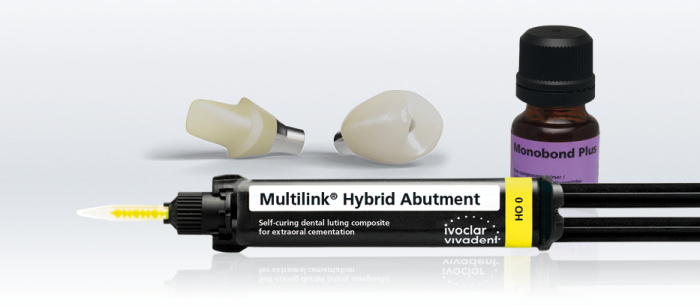 Multilink Hybrid Abutment visual