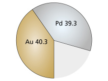 Evolution Lite (2)