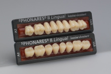 phonares ll_Lingual