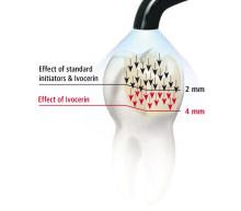 Effect of Ivocerin