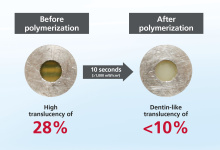 tef polymerization EN